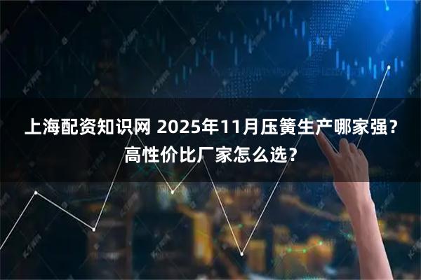 上海配资知识网 2025年11月压簧生产哪家强？高性价比厂家怎么选？