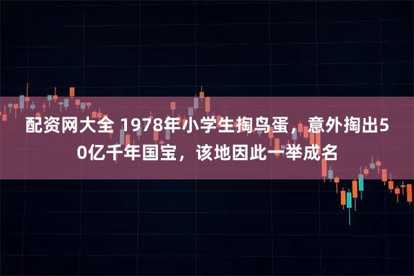 配资网大全 1978年小学生掏鸟蛋，意外掏出50亿千年国宝，该地因此一举成名