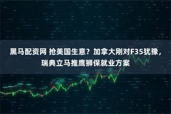 黑马配资网 抢美国生意？加拿大刚对F35犹豫，瑞典立马推鹰狮保就业方案
