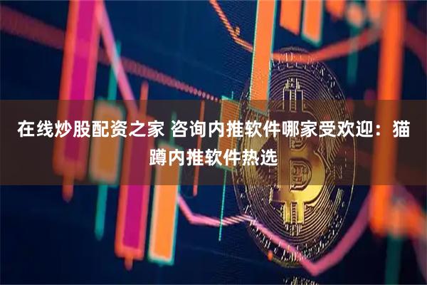 在线炒股配资之家 咨询内推软件哪家受欢迎：猫蹲内推软件热选