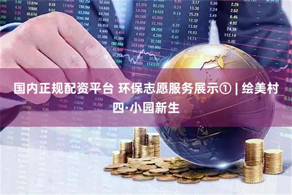国内正规配资平台 环保志愿服务展示① | 绘美村四·小园新生