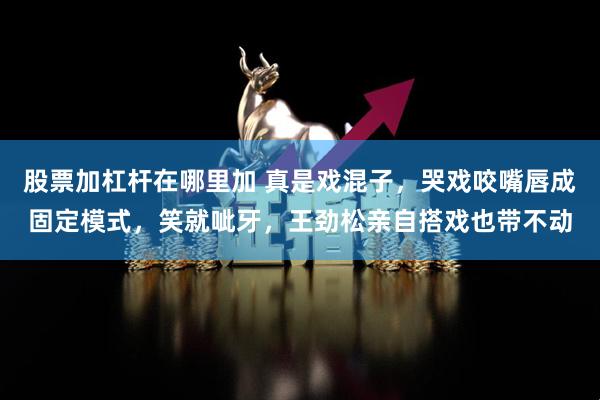 股票加杠杆在哪里加 真是戏混子，哭戏咬嘴唇成固定模式，笑就呲牙，王劲松亲自搭戏也带不动